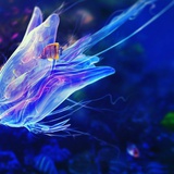 仁术济世