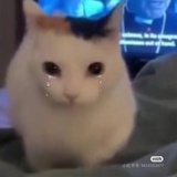 TM家族宋昕冉