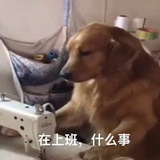 摩西摩西