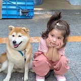 好好学习