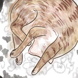 镜子里的猫
