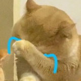 今天不乖