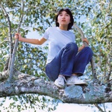 La cavina
