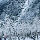 务本