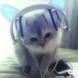 苍帝（毒唯