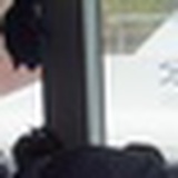 脑袋黑黢黢的柴信