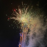 王鸭鸭
