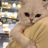 江苏吴宣仪