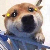 杠精别来
