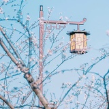 落空