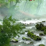 YEngfcvjg