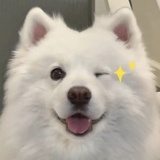 柠檬糖