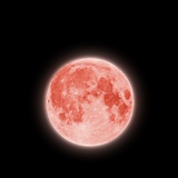 你长犄角闹洋事