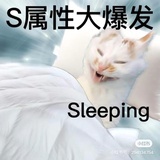 噼里啪噗