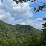 圆圆
