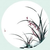 纳兰明夜
