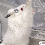 刘眼泪💧