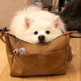 我不上班