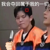 ZB1-张极