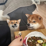 油炸QQ糖