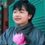 这里是猪力叶