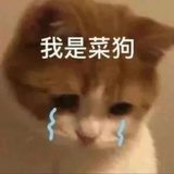 😶‍🌫😶‍🌫