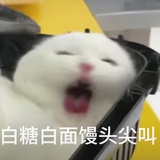 荔小笠