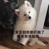 磕颜