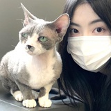 芝加哥