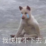 Xsxshh