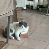 Whhhhh