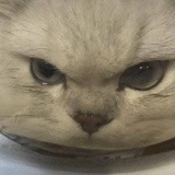 慕秋