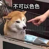 溜溜梅