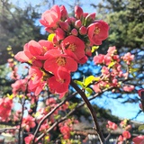 健康快乐平安OK