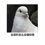 啊