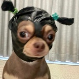 wydhyzsay