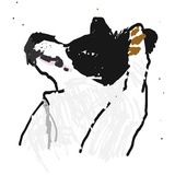 南木无色