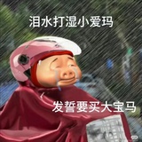 乌芝芝