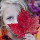 Loren