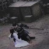 磕cp专用