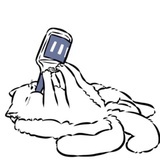 程七月丶