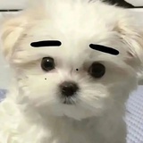 妈呀