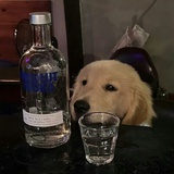 高马尾是正义的