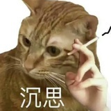 薄荷薄荷丛