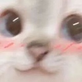 aa