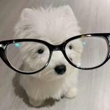 下次一定