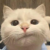 张张张.