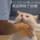 农搬运bot