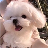 豆友97ReN5joH8
