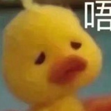25806